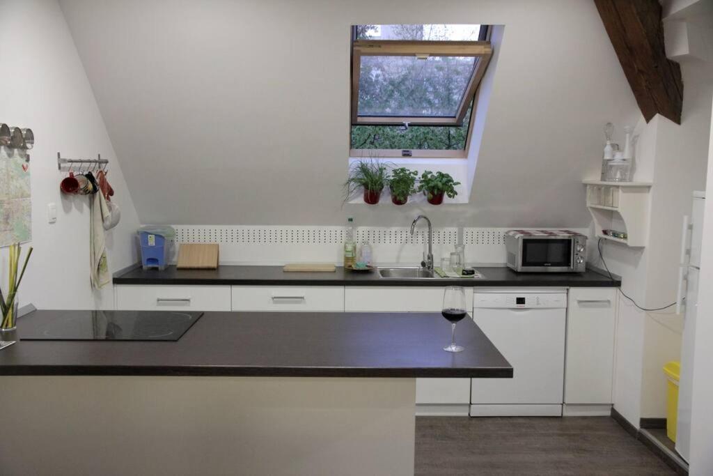 Entire Apartment In The Center With Free Parking Liubliana Exterior foto
